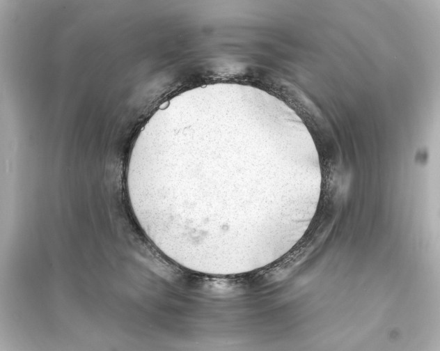 X0000093570565200711121040