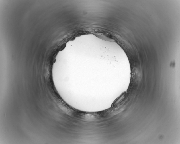 X0000093570566200711121040