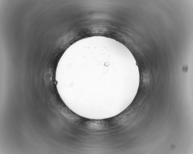 X0000093570567200711121040