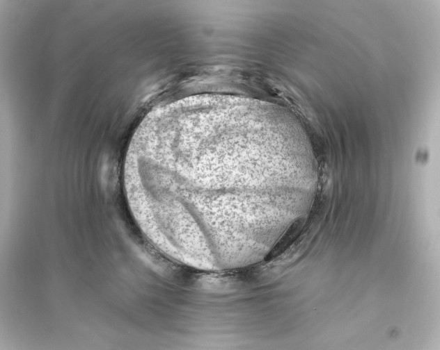 X0000093570568200711121040