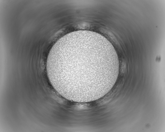 X0000093570569200711121040