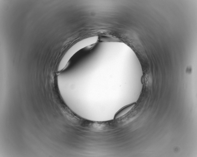 X0000093570570200711121040
