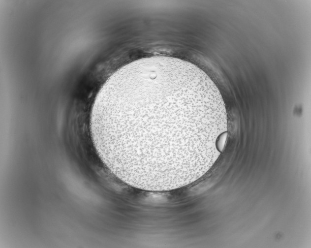 X0000093570573200711121040