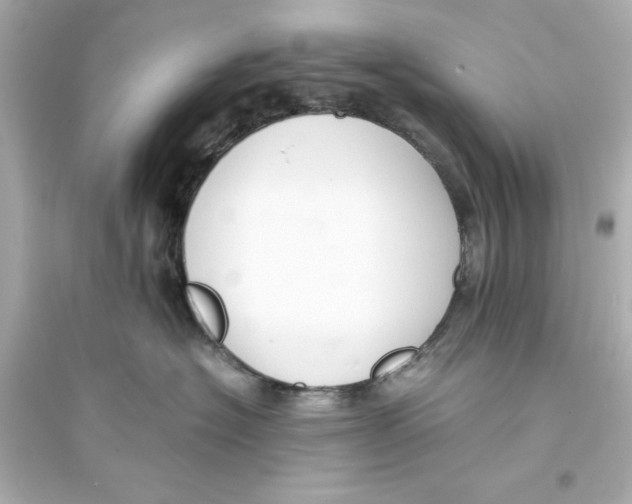 X0000093570574200711121040