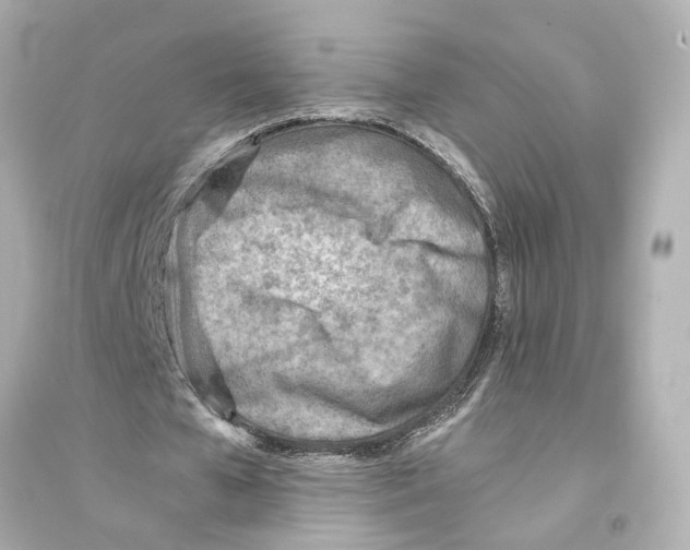 X0000093570577200711121039