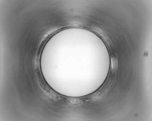 X0000093570579200711121039