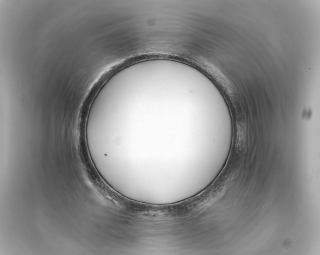 X0000093570580200711121039