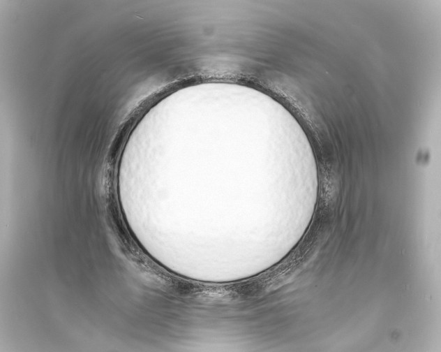 X0000093570583200711121039