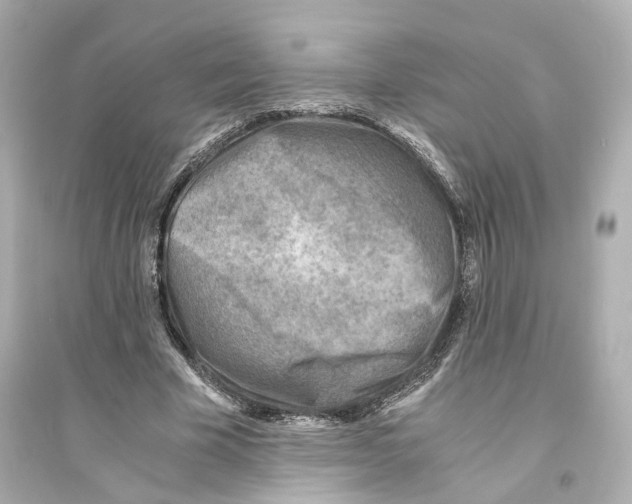 X0000093570585200711121039