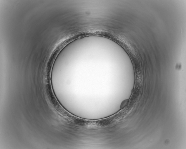 X0000093570587200711121039