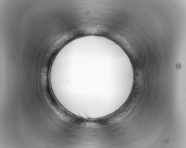 X0000093570590200711121039