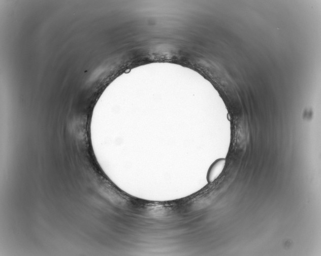 X0000093570616200711121038