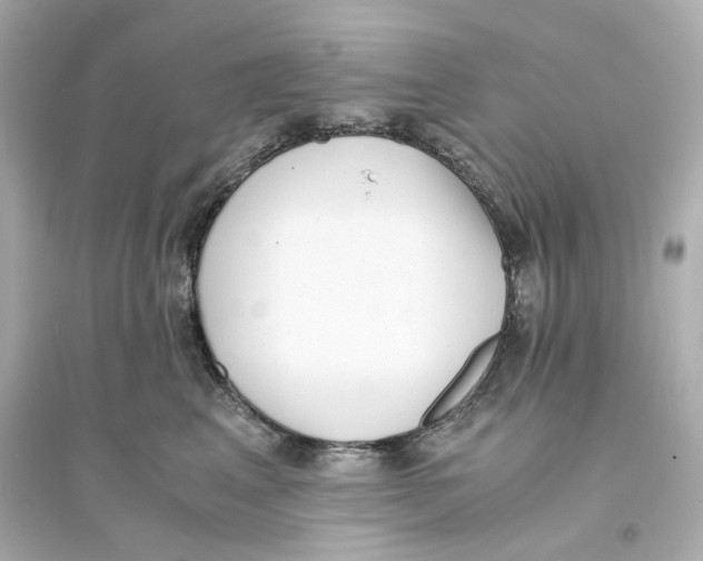 X0000093570617200711121038