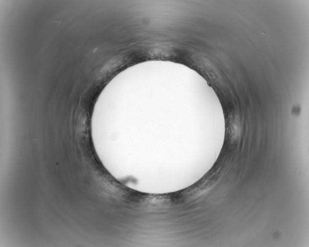 X0000093570619200711121038