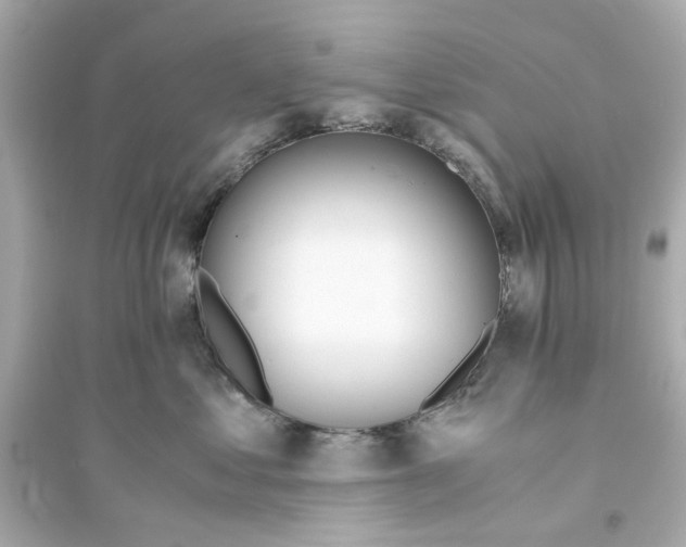 X0000093570621200711121038