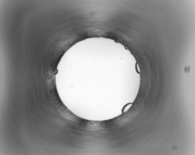 X0000093570624200711121038