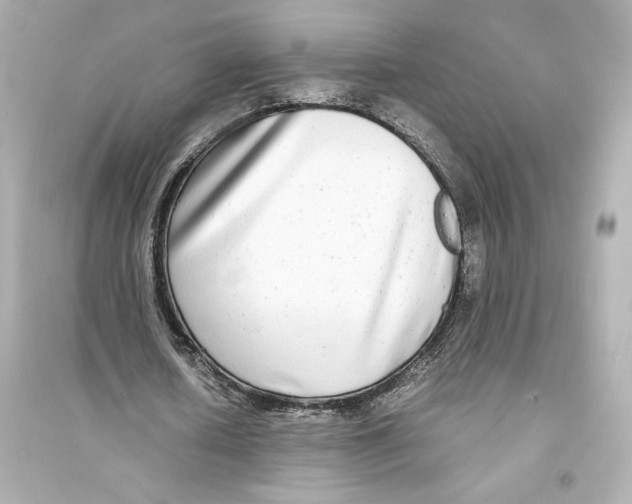 X0000093570626200711121038