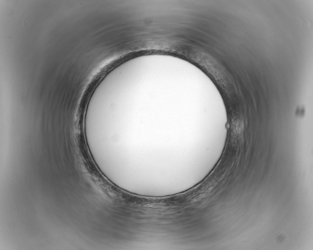 X0000093570628200711121038