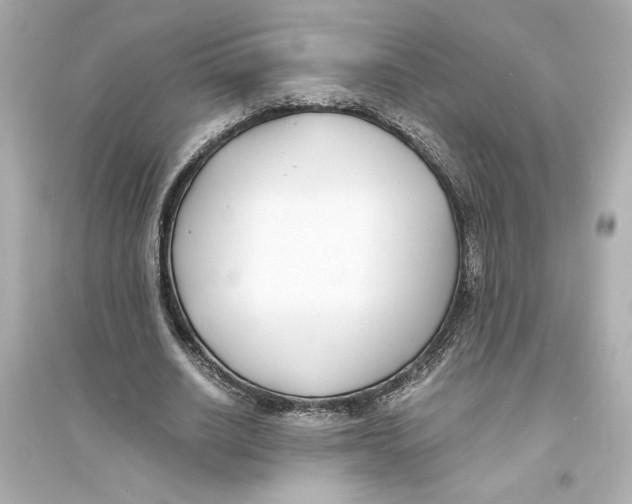 X0000093570630200711121038