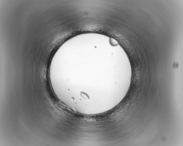 X0000093570640200711121038