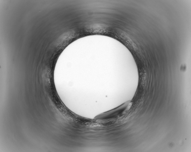 X0000093570643200711121038