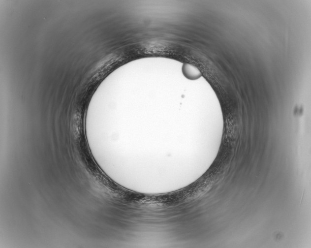 X0000093570648200711121038