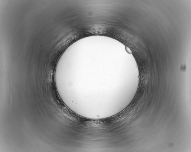 X0000093570652200711121038