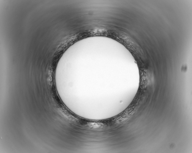 X0000093570654200711121038