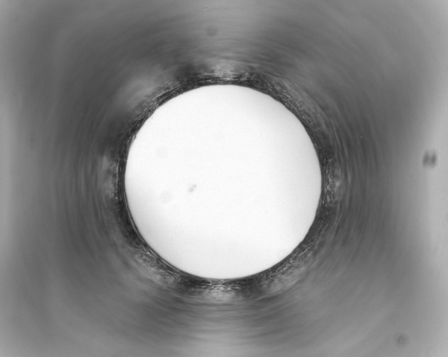 X0000093570656200711121038