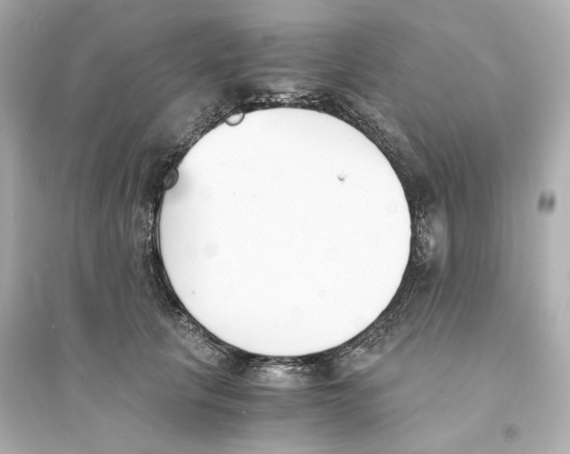 X0000093570657200711121038