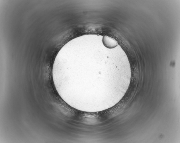 X0000093570659200711121038
