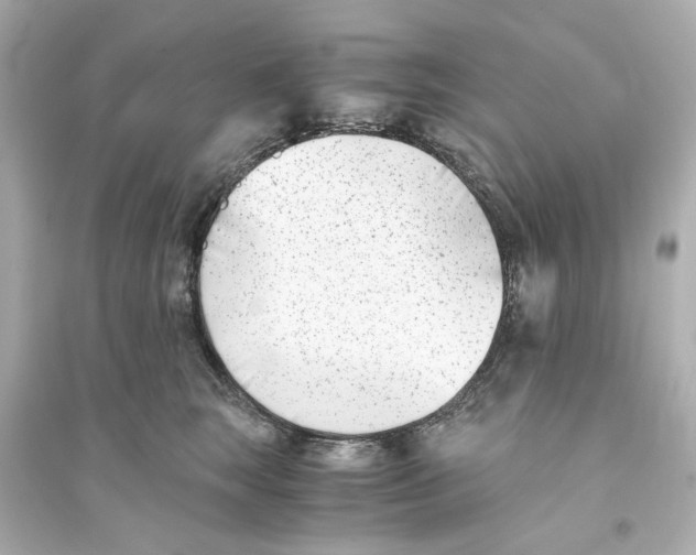 X0000093570663200711121038