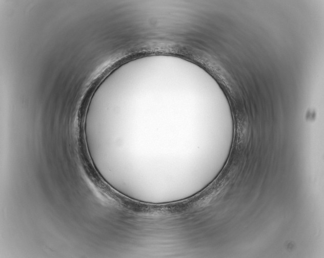 X0000093570674200711121038