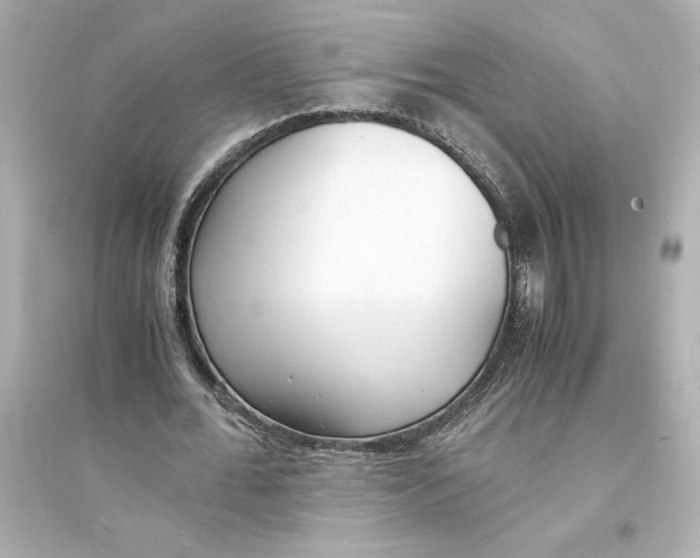 X0000093570676200711121038