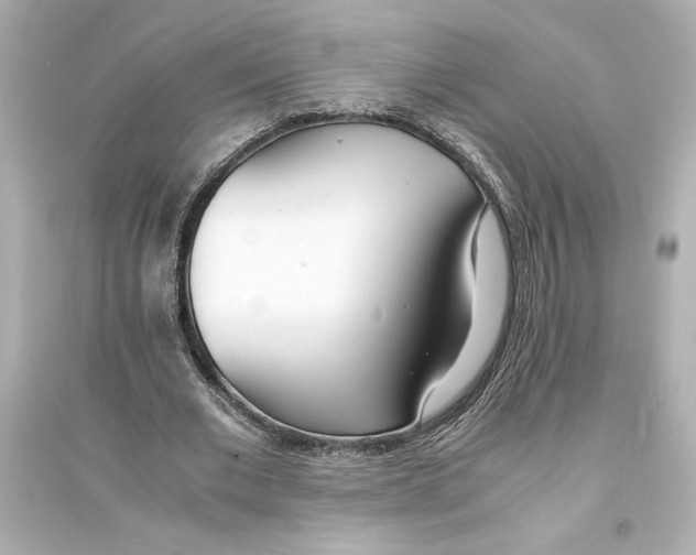 X0000093570677200711121038