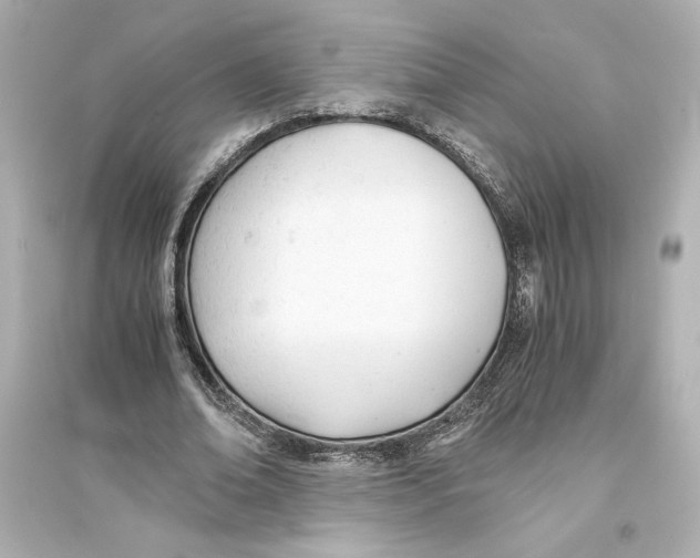 X0000093570678200711121038