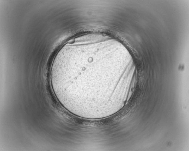 X0000093570679200711121038