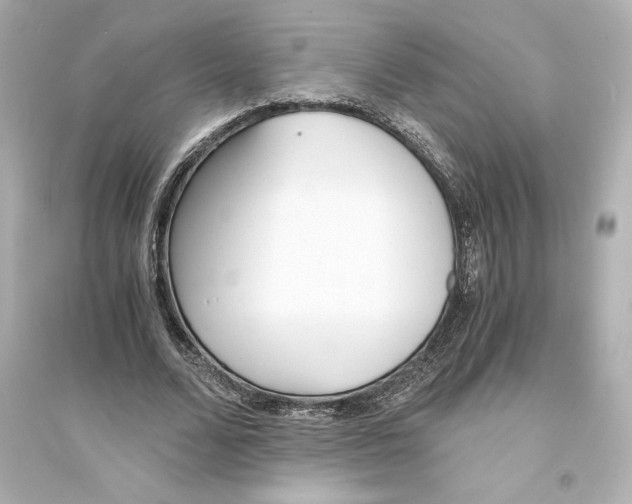 X0000093570680200711121038