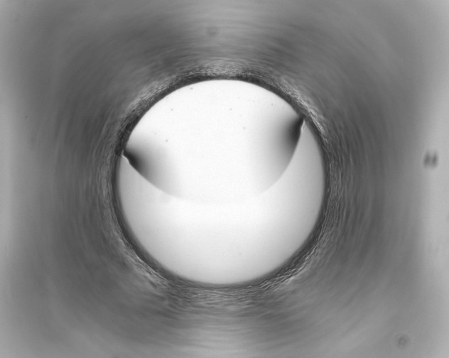 X0000093570681200711121038