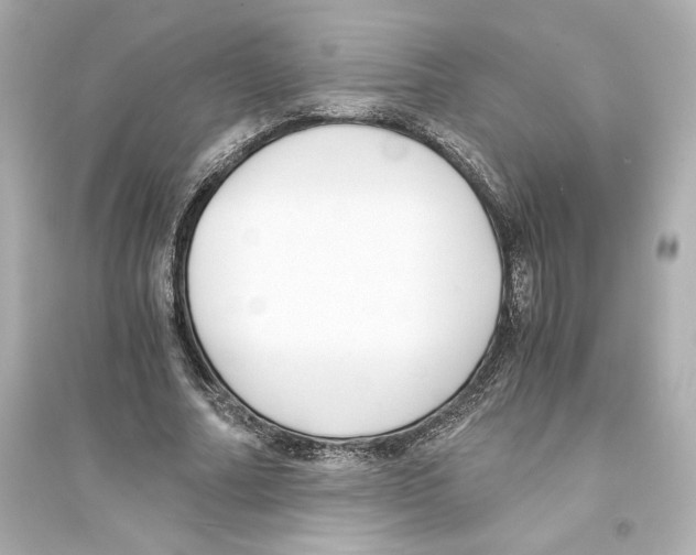 X0000093570682200711121038