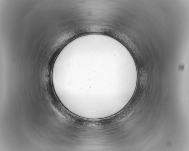 X0000093570683200711121038