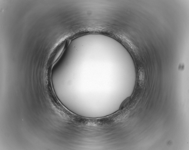 X0000093570684200711121037