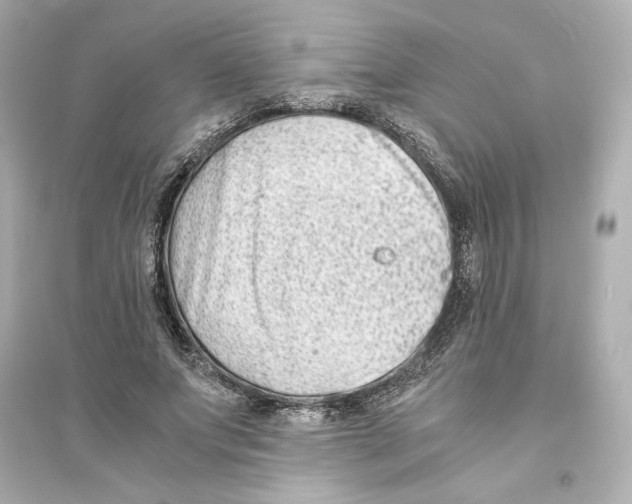X0000093570687200711121037