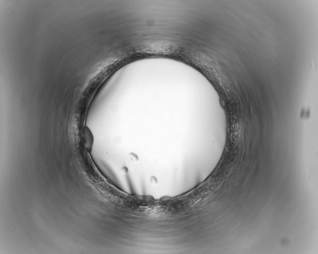 X0000093570688200711121037