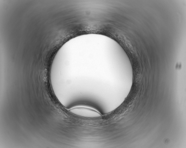 X0000093570689200711121037