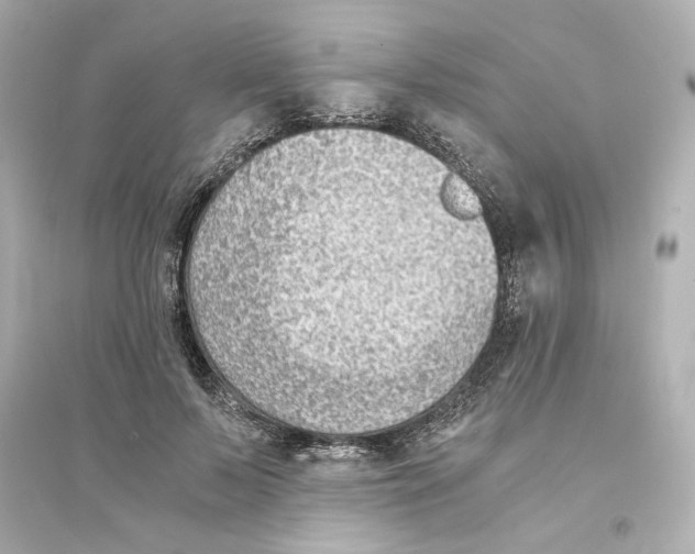 X0000093570695200711121037