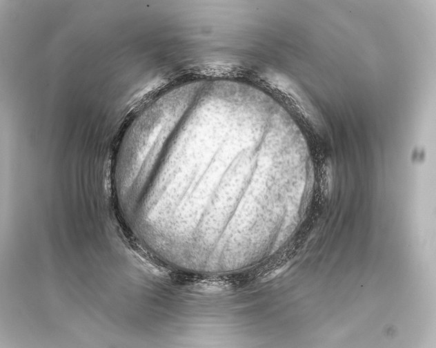 X0000093570696200711121037
