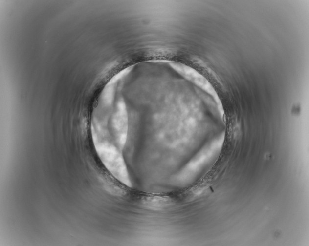 X0000093570716200711121037