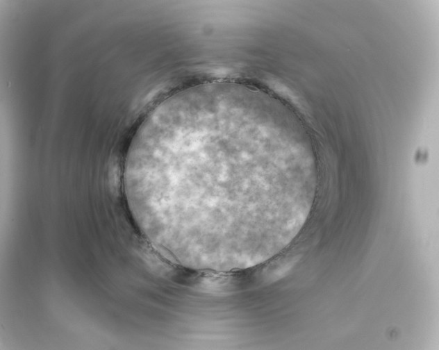 X0000093570720200711121037