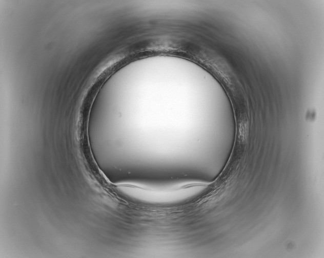 X0000093570724200711121036
